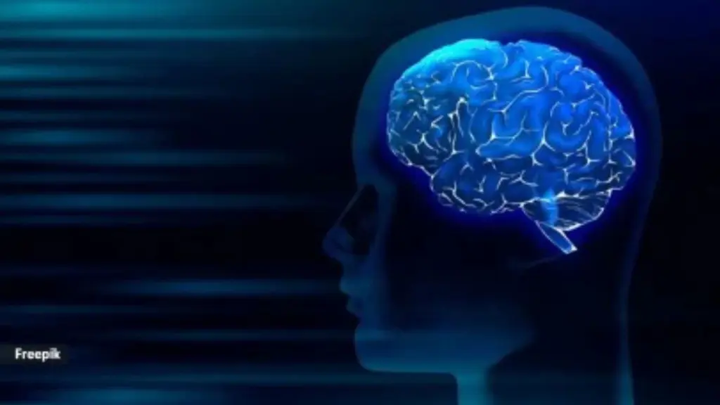 AI Helps Diagnose Rare Condition in 9-Year-Old After Months of Blackouts